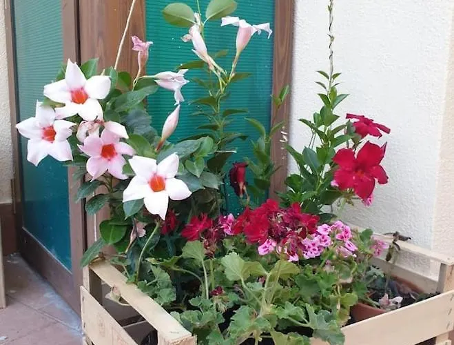 Casa 900 Holiday home *